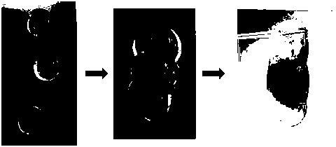 Self-healing injectable supramolecular hydrogel and preparation method and application thereof