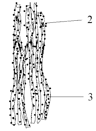 Method for preparing lithium battery material by using plant fibers
