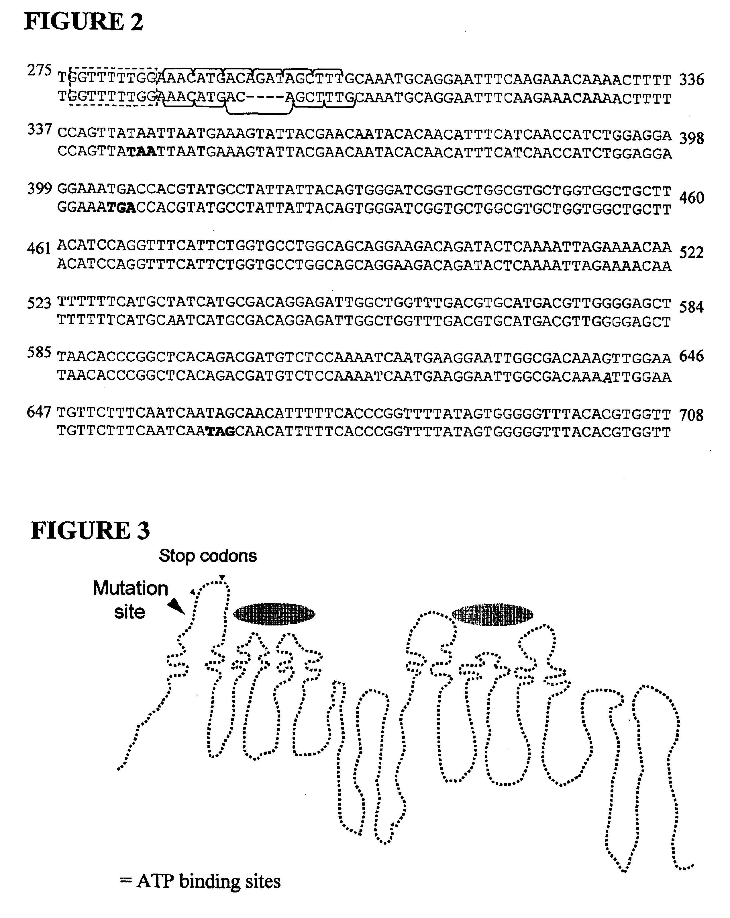 Method of detecting ivermectin sensitivity in a canine subject by identifying a mutation in a mdr1-encoding sequence