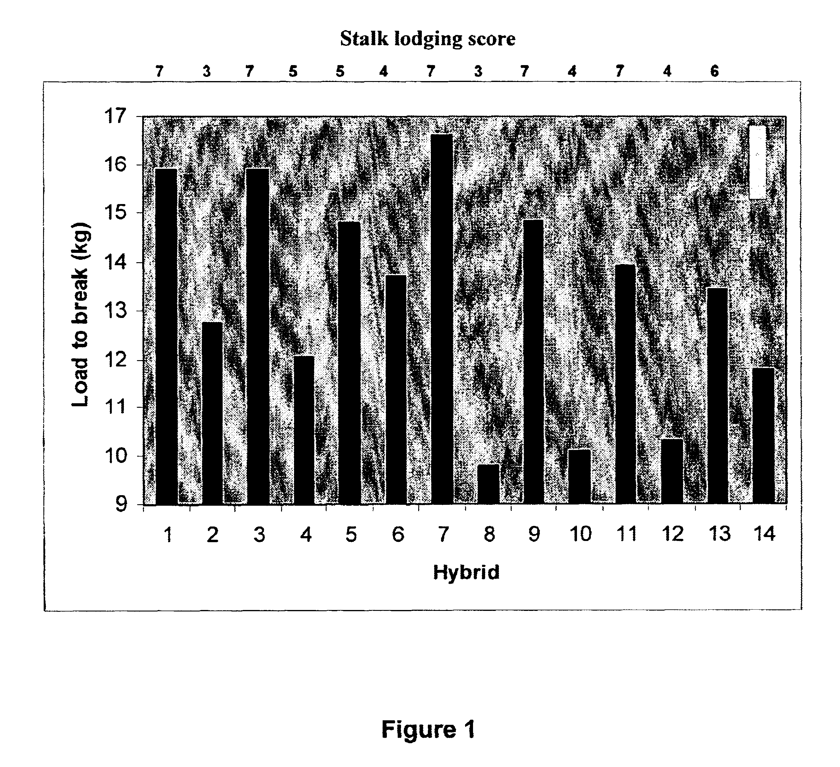 Maize cellulose synthases and uses thereof