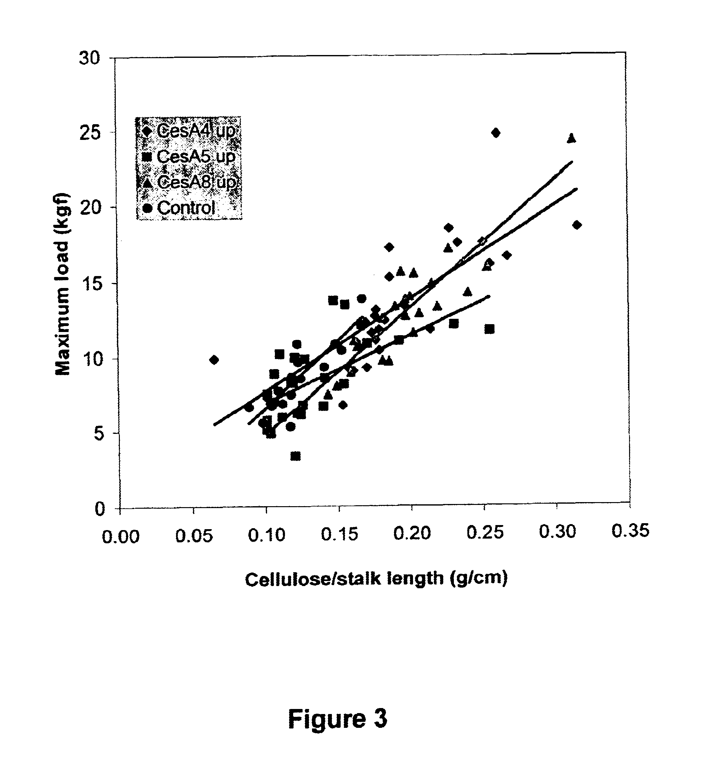 Maize cellulose synthases and uses thereof