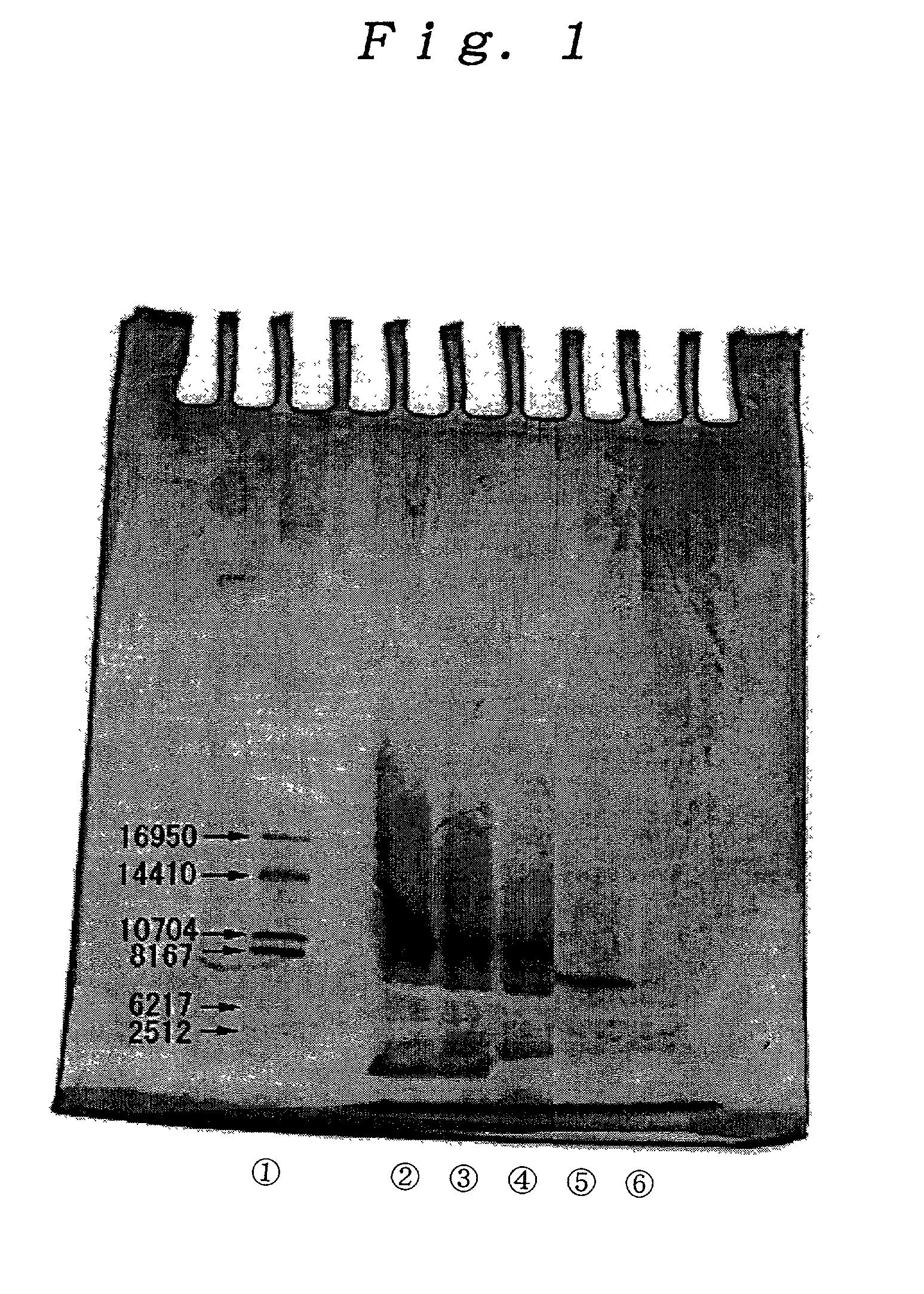 Purified cochineal and method for its production