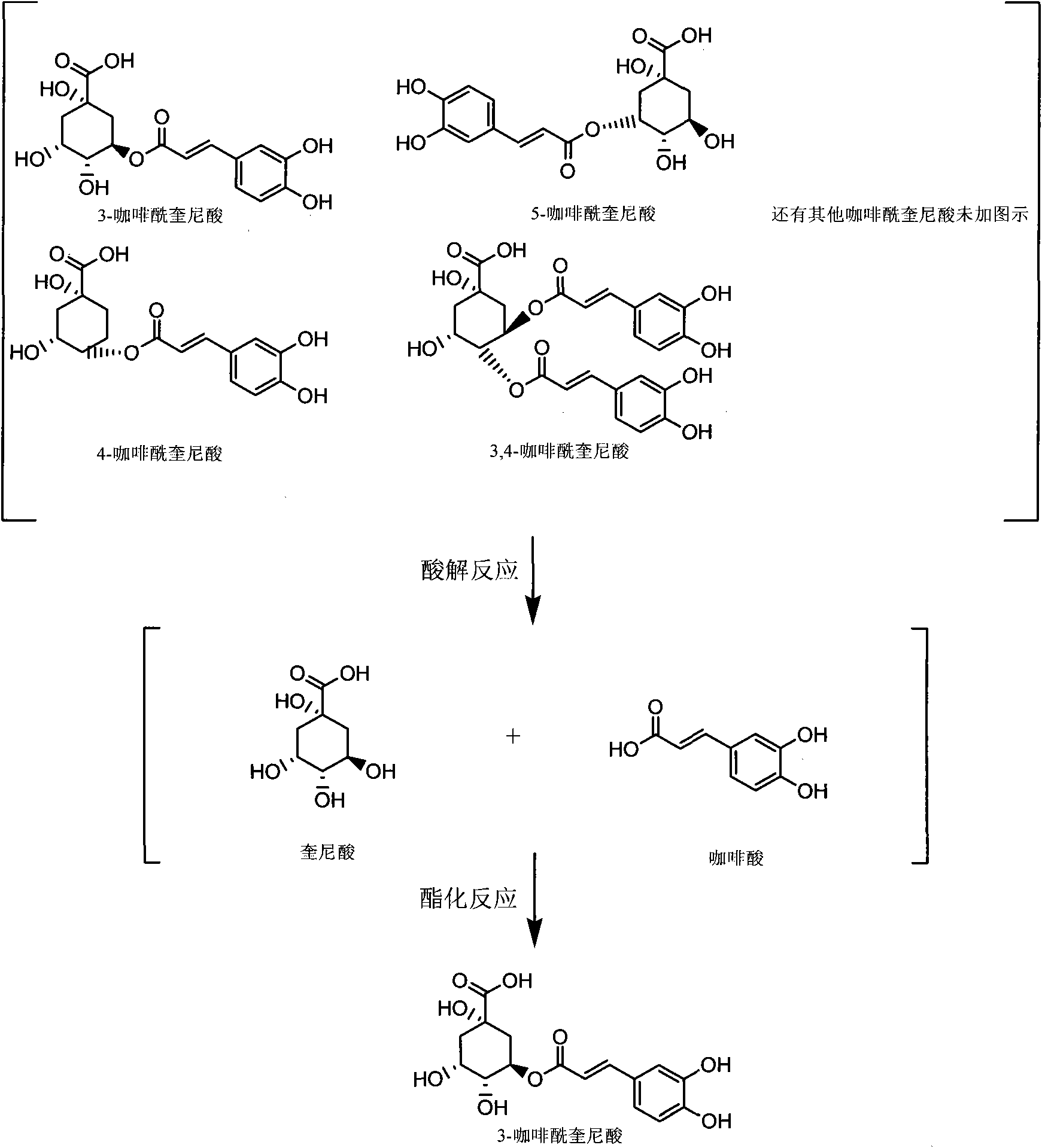 Method for preparing and partially-synthesizing chlorogenic acid from processing residual liquid of aqua lonicerae foliae