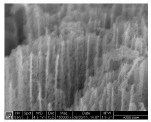 Porous titanium nitride nanotube array film and preparation method thereof
