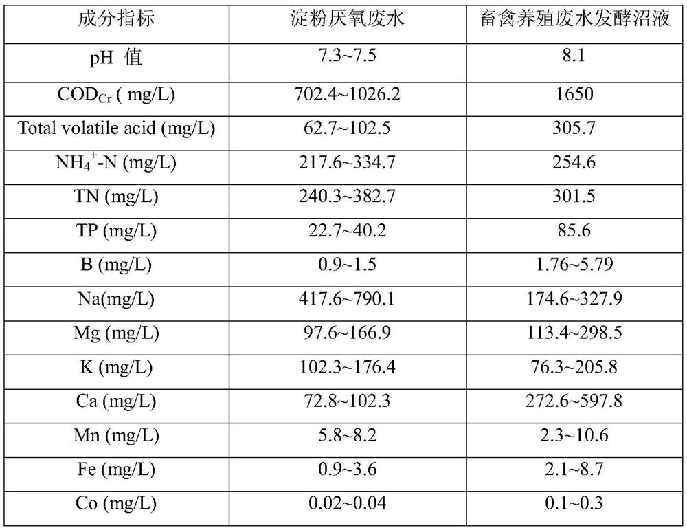 High-density microalgae bio-membrane reactor based on membrane aeration and membrane concentration and algae culture method thereof