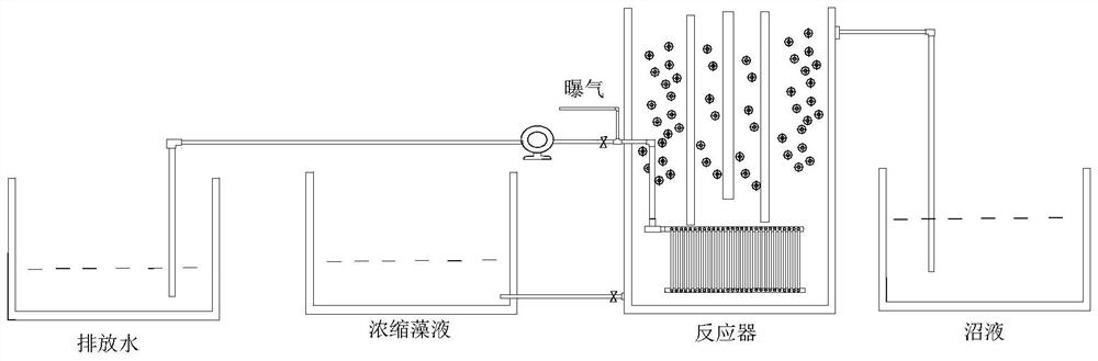 High-density microalgae bio-membrane reactor based on membrane aeration and membrane concentration and algae culture method thereof