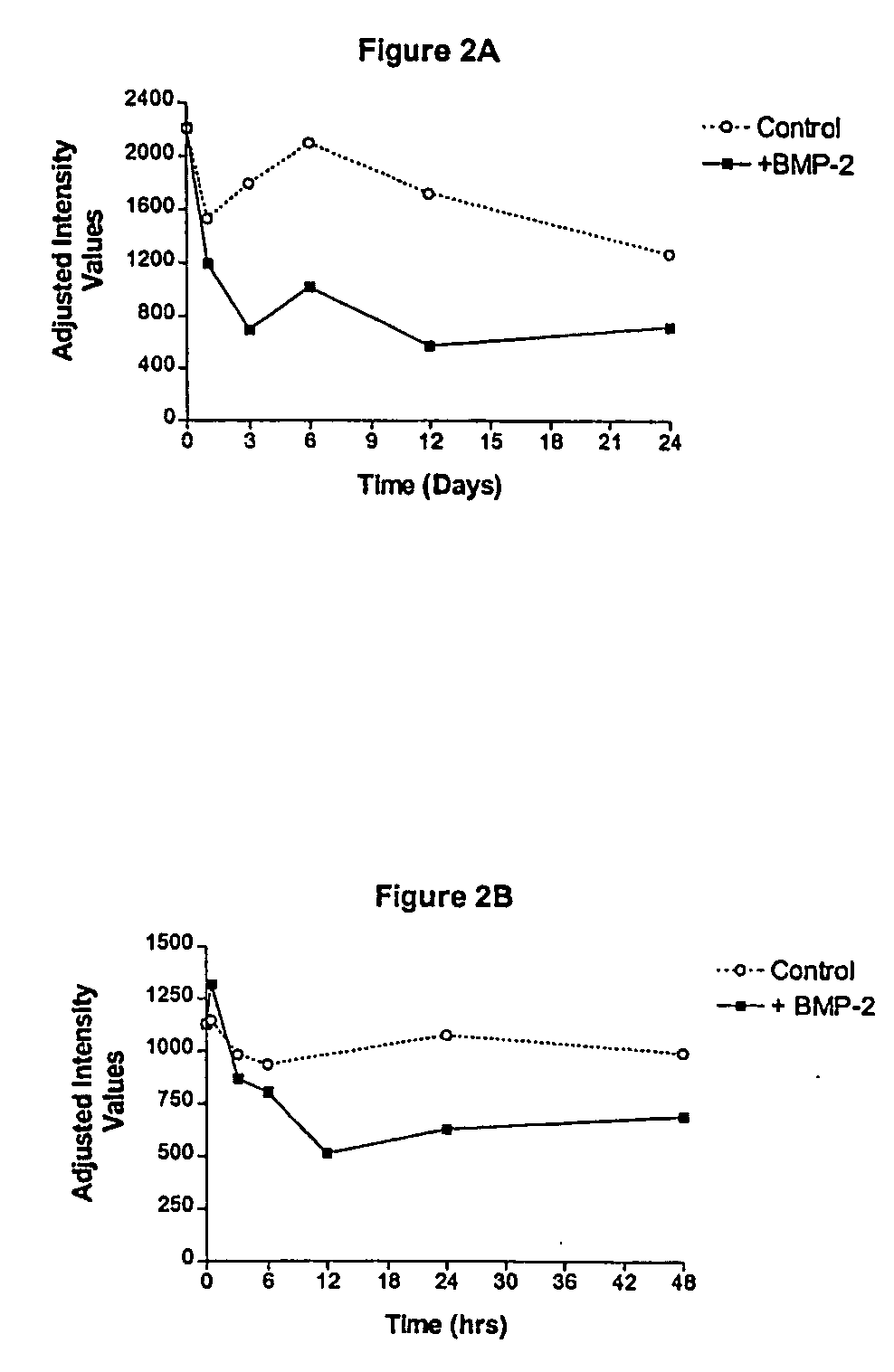 Gene associated with bone disorders