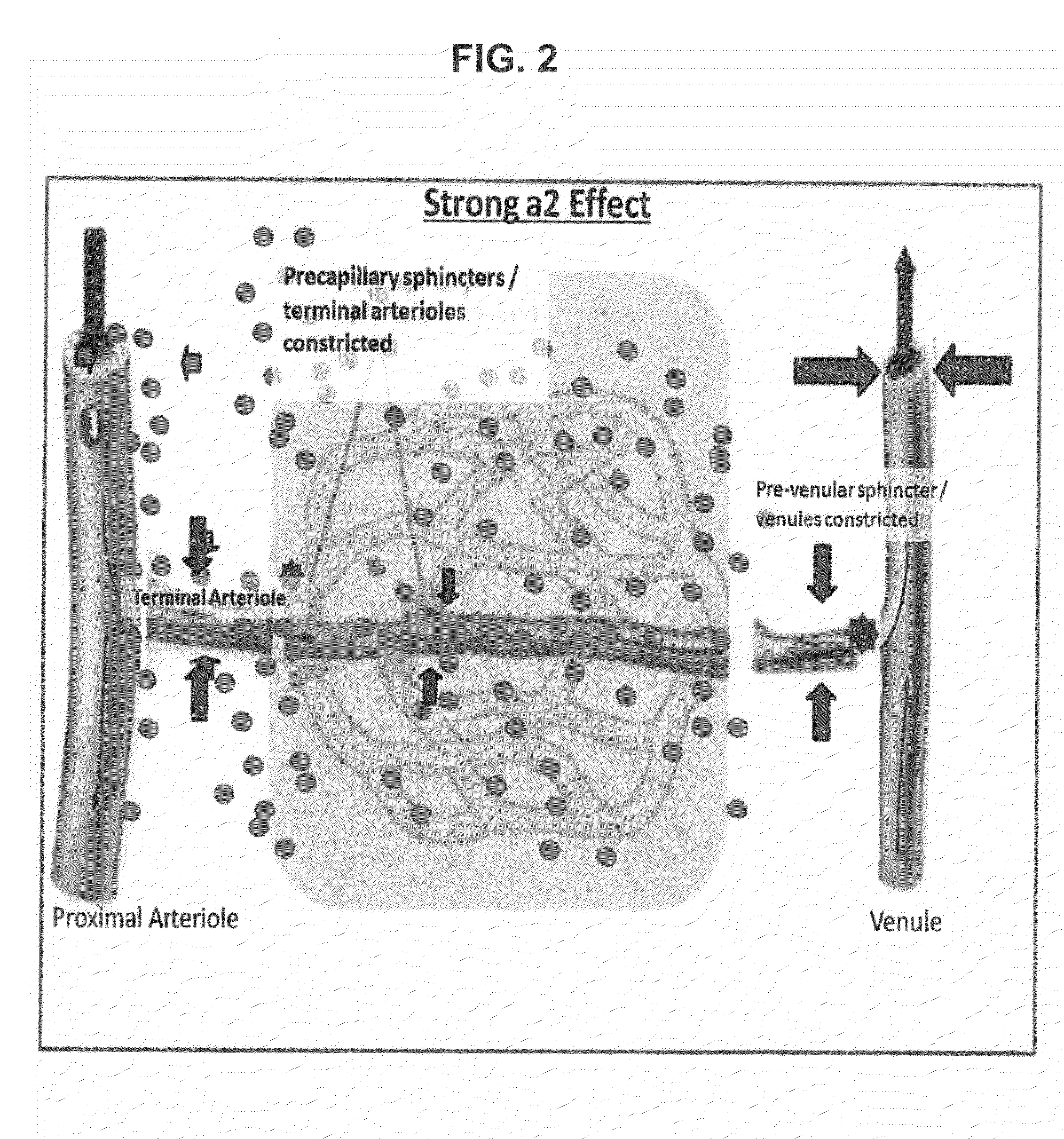 Compositions and methods for the treatment of nasal conditions