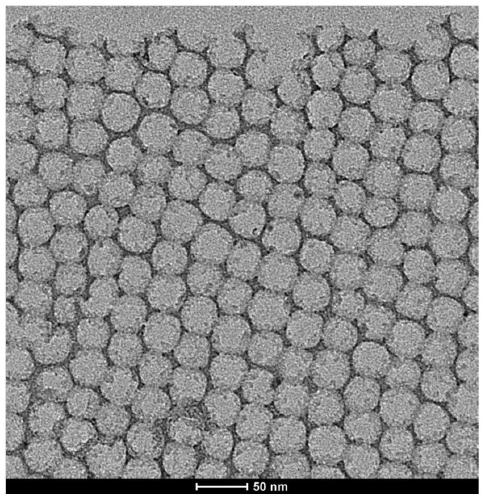 Method for preparing two-dimensional ordered mesoporous nanosheet by inorganic salt interface induced assembling