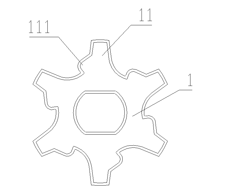 Reversed installation prevention structure for chain of chain saw