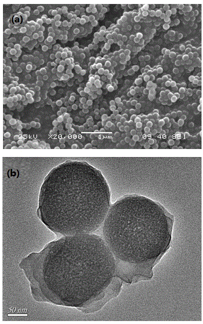 Method for preparing ion imprinting polymer by virtue of ultraviolet induced polymerization at room temperature and application of ion imprinting polymer