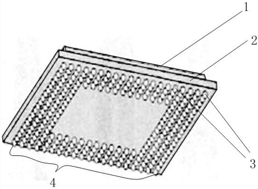 BGA package fixing structure of LED module