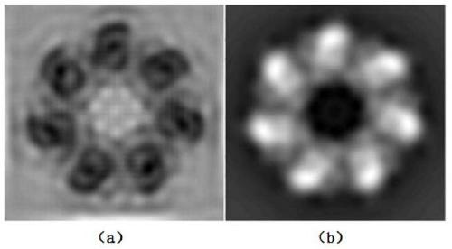 Scanning electron microscopic imaging method