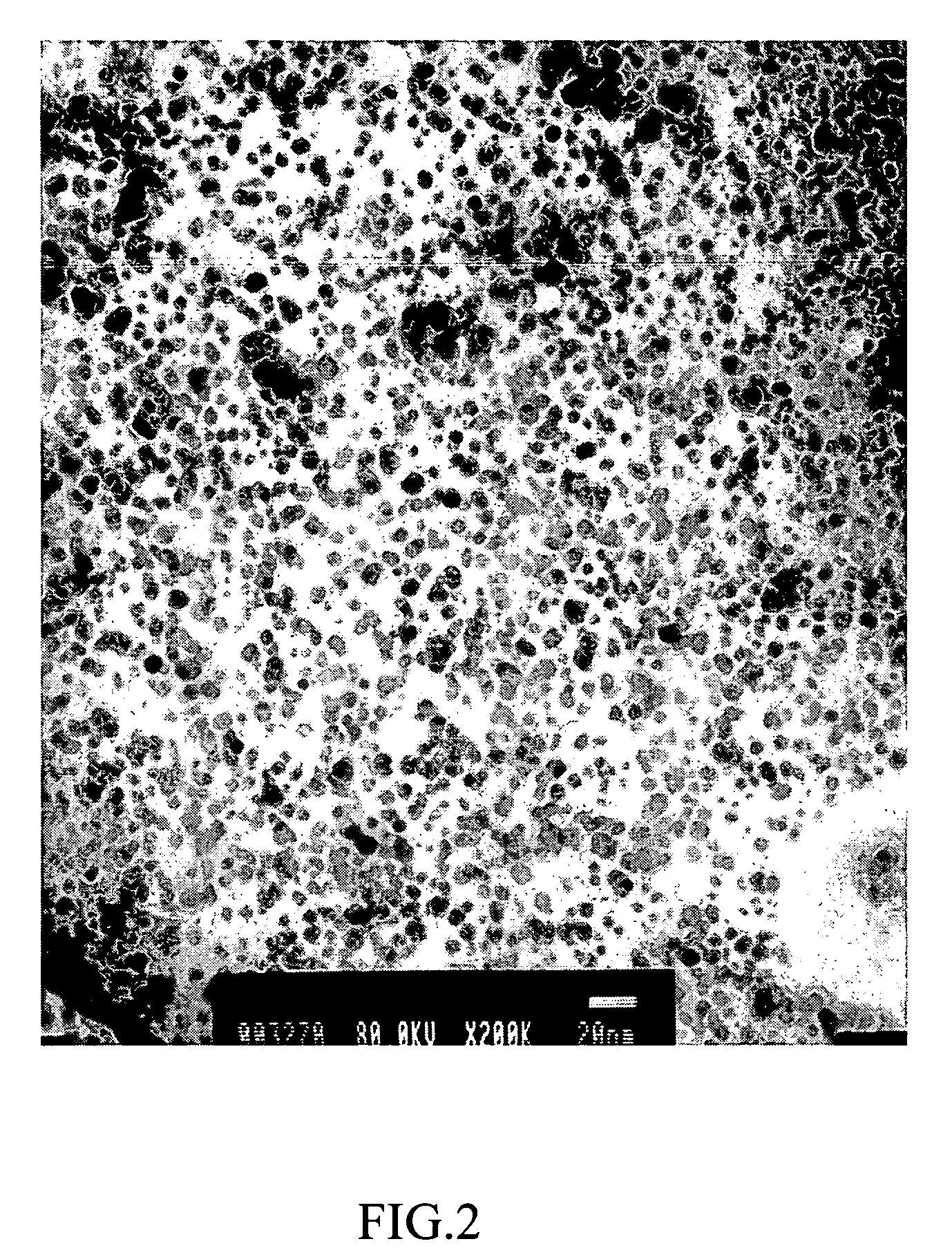 Method for preparation of water-soluble and dispersed iron oxide nanoparticles and application thereof