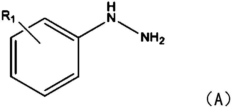 Synthetic method for cinnoline compound and agricultural biological activity thereof