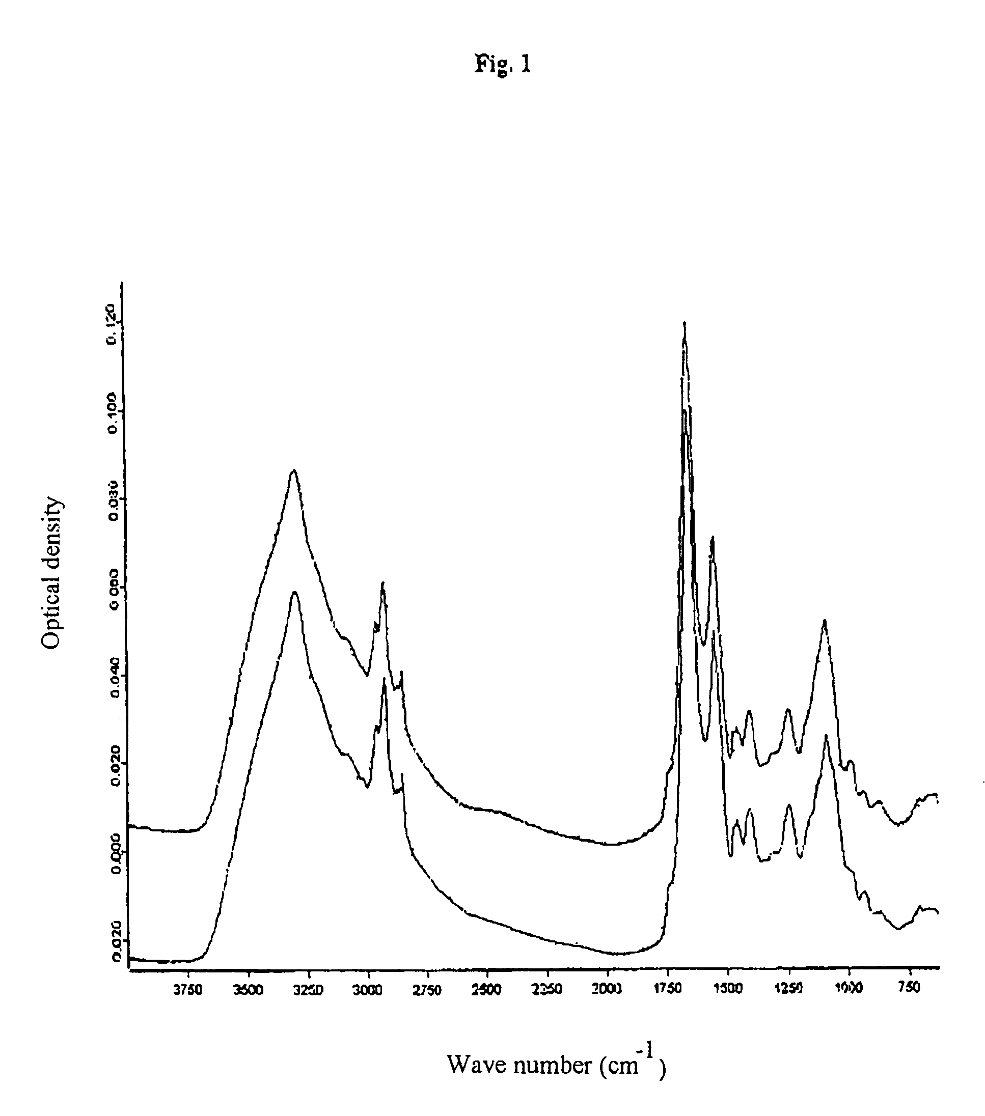 Method and an apparatus for determining well or fully differentiated mammal cells