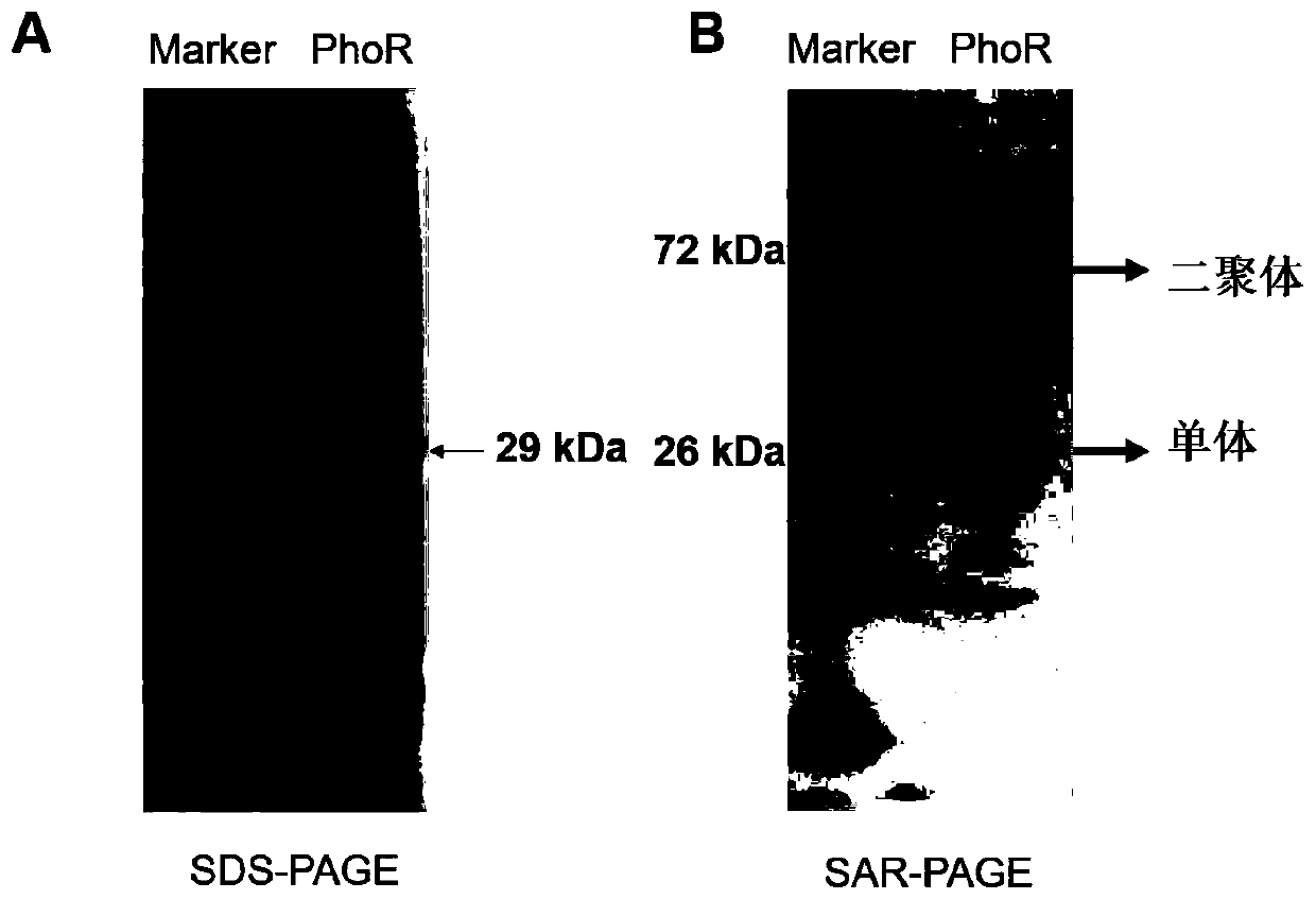 An application of 05sar-page