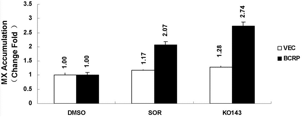 Use of sorafenib in preparing drugs for reversing multidrug resistance of tumors