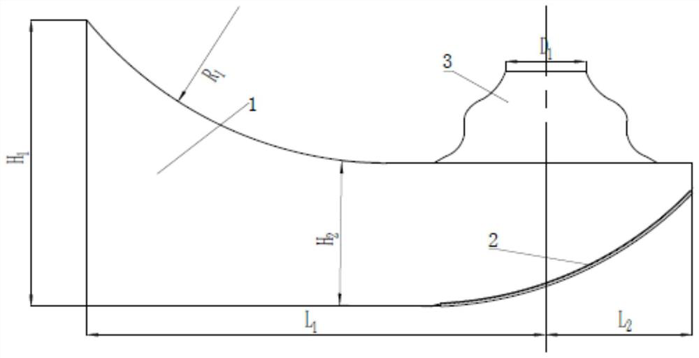 Dustpan-shaped water inlet channel with bionic structure