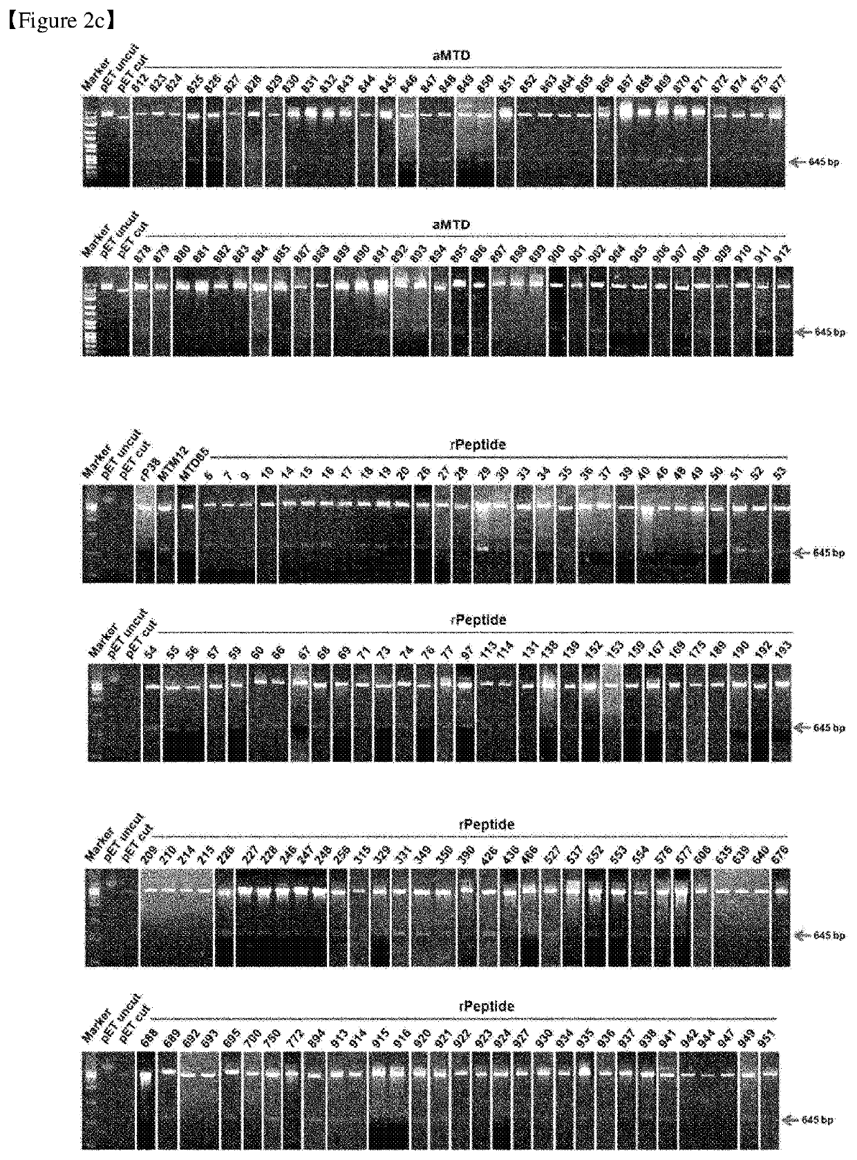 Cell-permeable reprogramming factor (iCP-RF) recombinant protein and use thereof