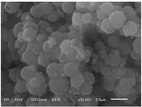 Surface imprinted material capable of selectively adsorbing nordihydroguaiaretic acid and preparation method thereof