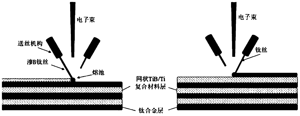 A Rapid Prototyping Method for Biomimetic Shell Structure Titanium Matrix Composites