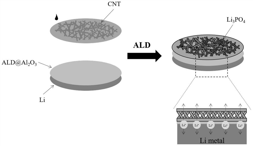 A kind of lithium metal electrode and its preparation method and application
