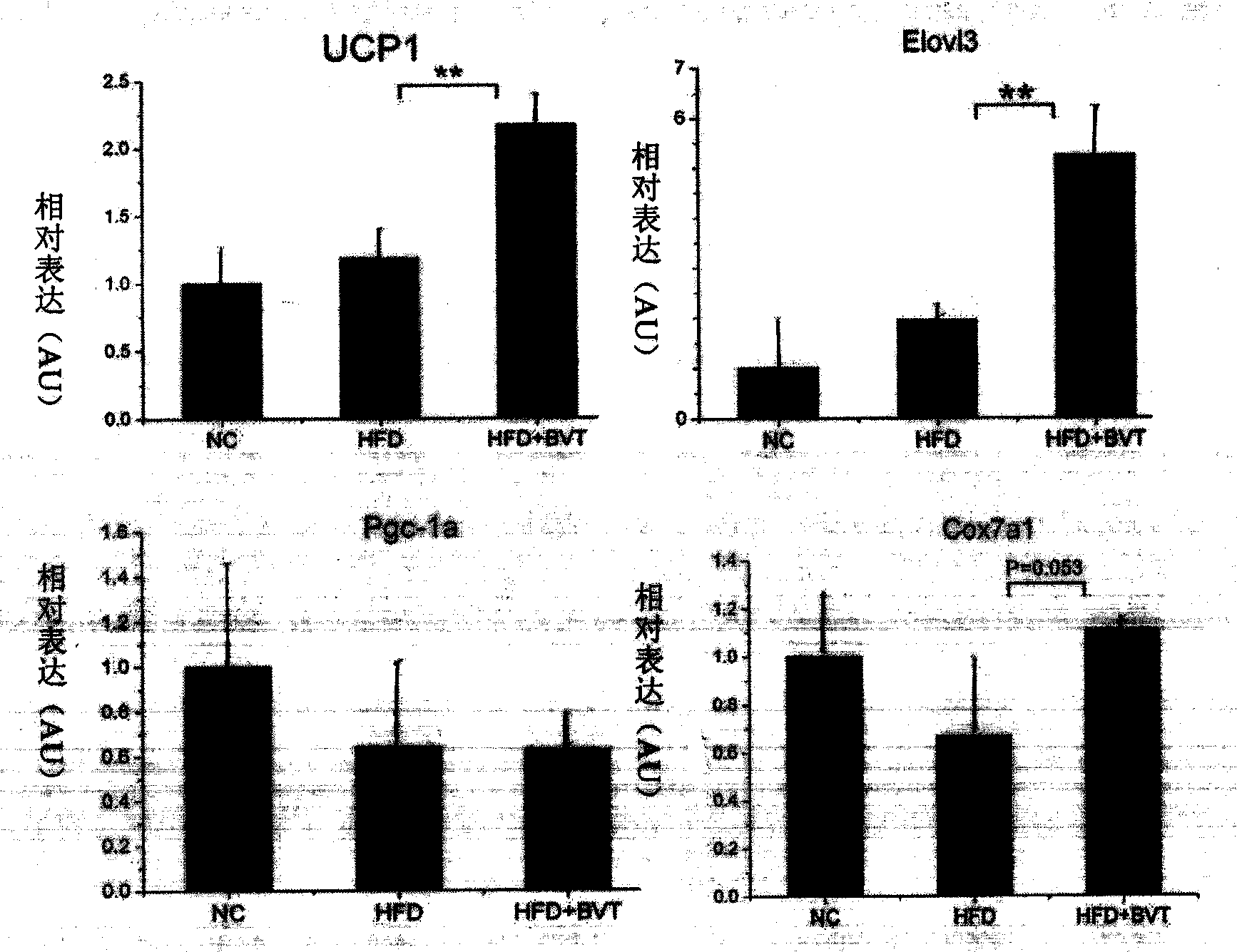 Novel targeted medicament targeted to brown adipose tissues for treating obesity