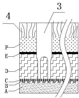 Camellia oleifera forest soil aging system and manufacturing method thereof