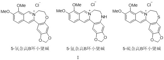 Heteroatom-containing novel high B-ring berberine analogues and C-H activation synthesis method thereof