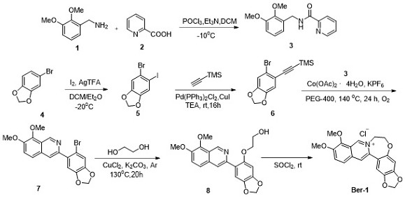 Heteroatom-containing novel high B-ring berberine analogues and C-H activation synthesis method thereof