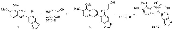 Heteroatom-containing novel high B-ring berberine analogues and C-H activation synthesis method thereof