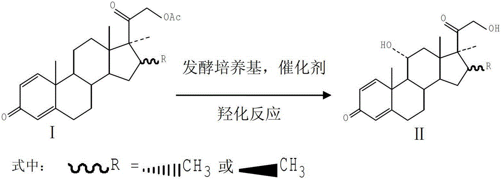 11-alpha hydroxylation reaction preparation method of steride hormone substance important intermediate