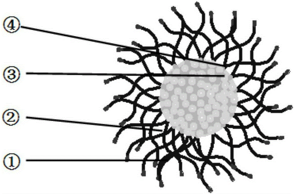 Novel polymer medicine for treating cancers