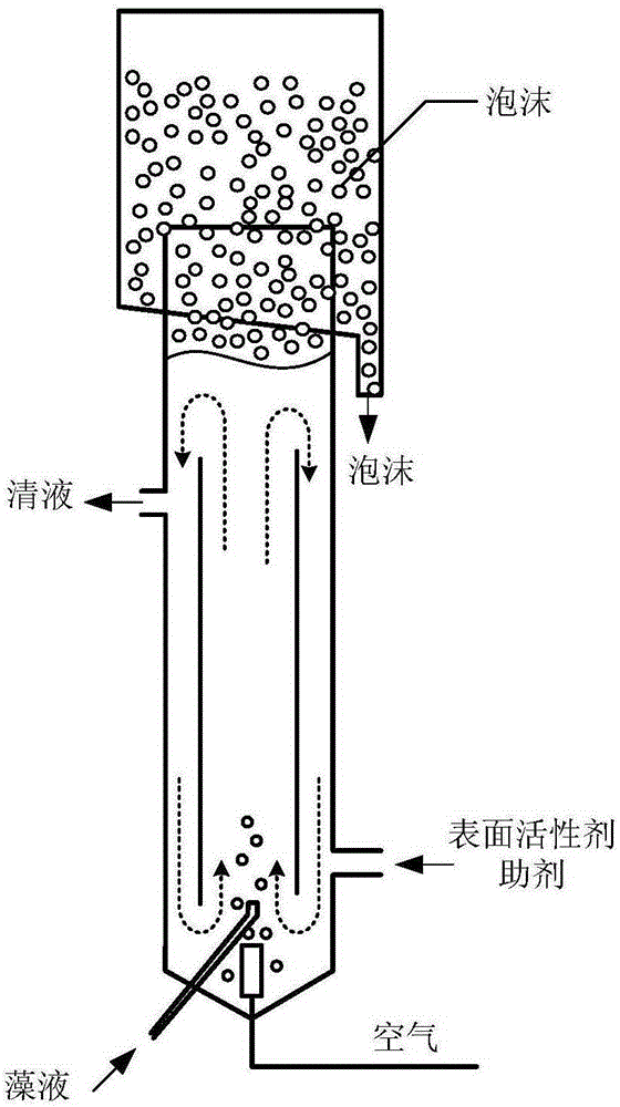Method for harvesting microalgae through alkalescence flocculation-foam separation and separation device