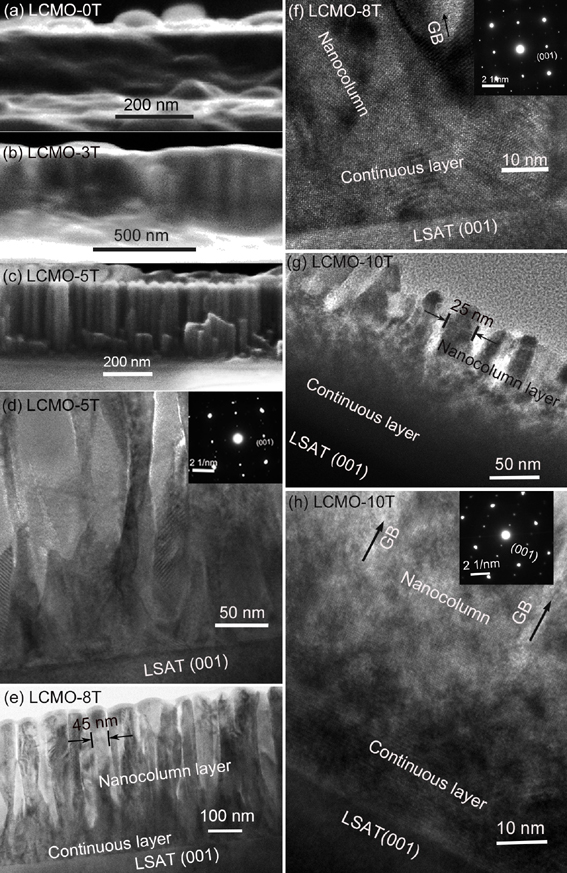 A double-layer perovskite manganese oxide single-phase film material with vertically aligned nanostructures and its preparation method