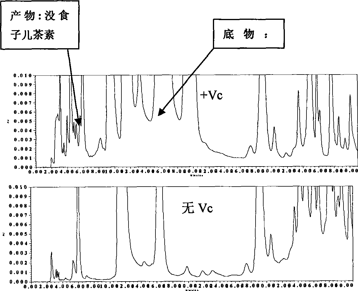 Fast detection method for dihydro flavanol 4-reductase/leucocyanidin reductase in tree plant