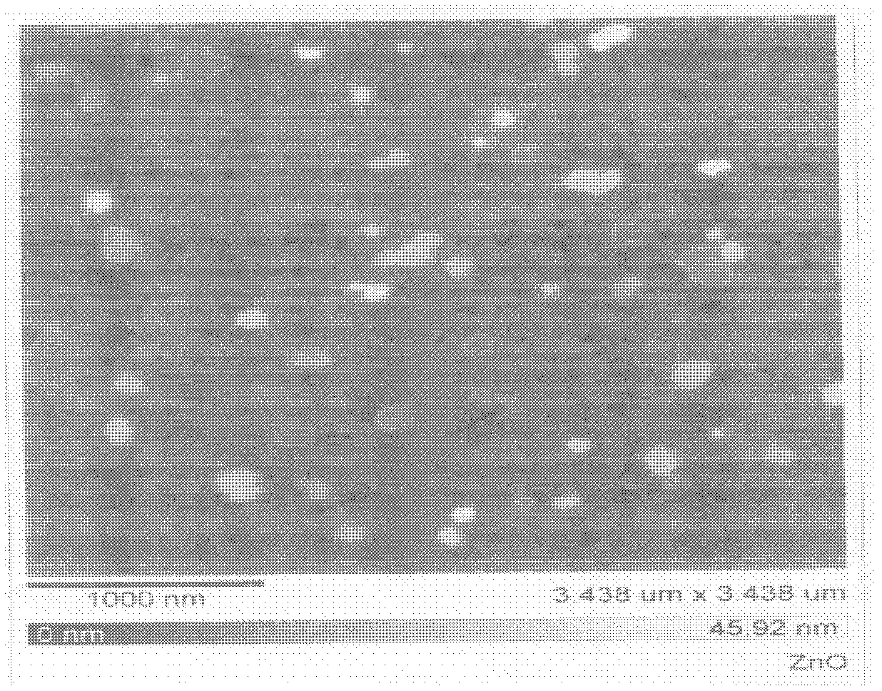 Nano composite skin disinfection lotion and preparation method thereof