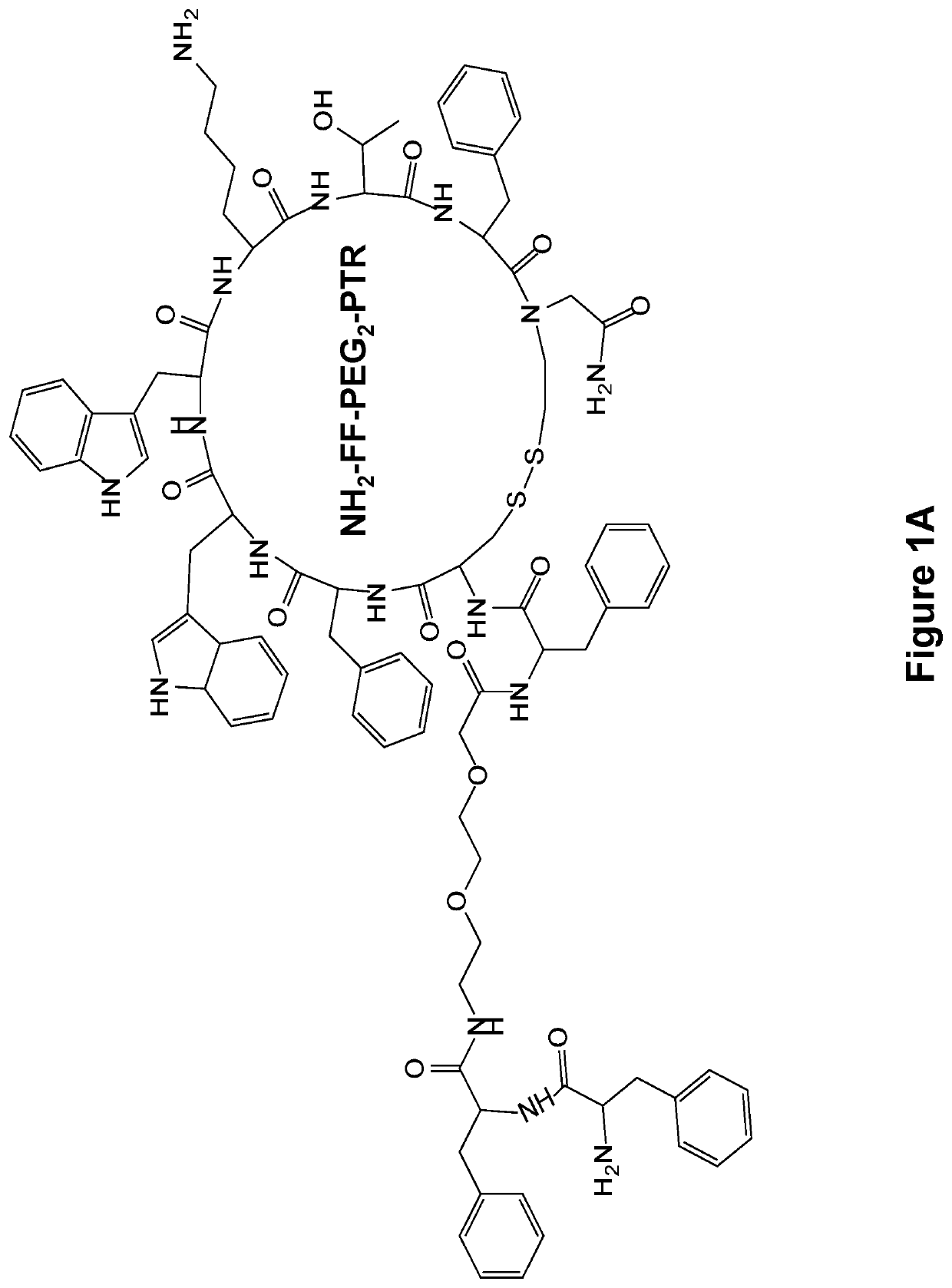 Formation of functionalized cancer targeting nanoparticles by supramolecular co-assembly