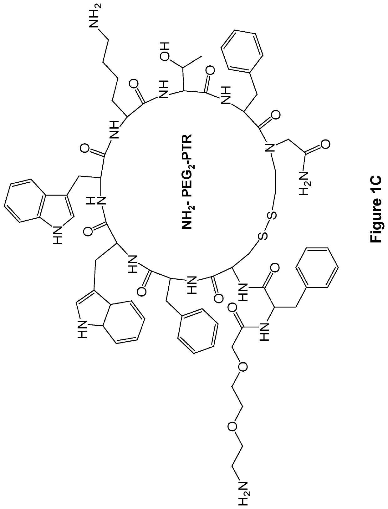 Formation of functionalized cancer targeting nanoparticles by supramolecular co-assembly