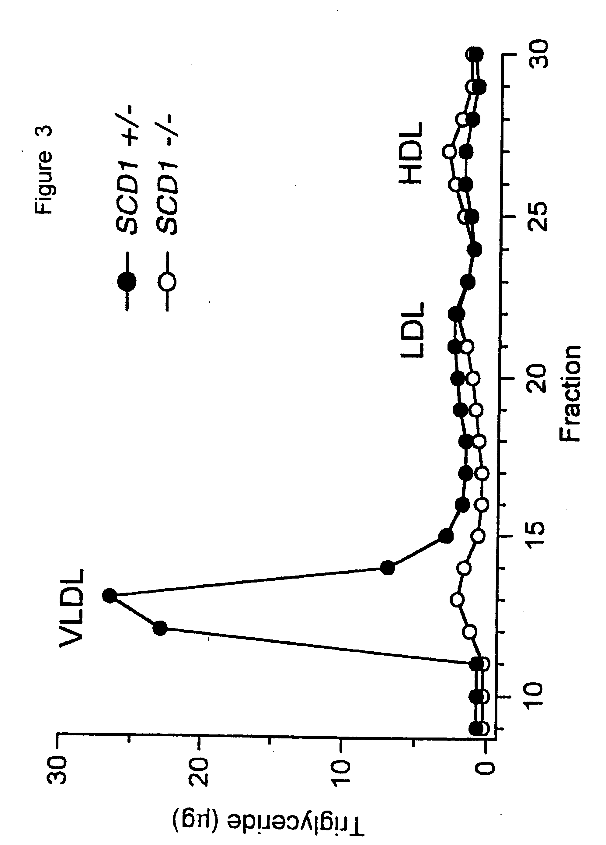 Methods and compositions using stearoyl-CoA desaturase to identify triglyceride reducing therapeutic agents