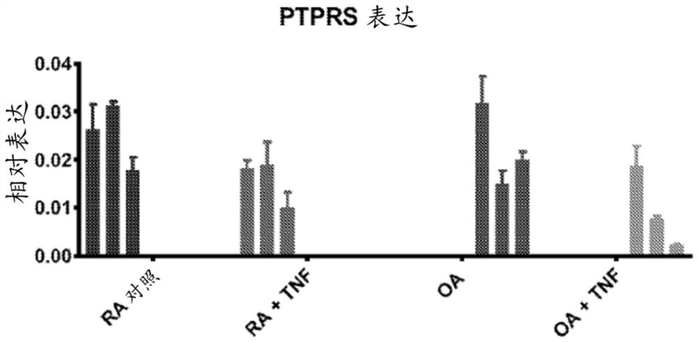 Ptprs and proteoglycans in rheumatoid arthritis