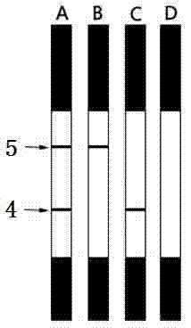 Ovinetheileriasis immuno colloidal gold detection test paper strip and preparation method thereof