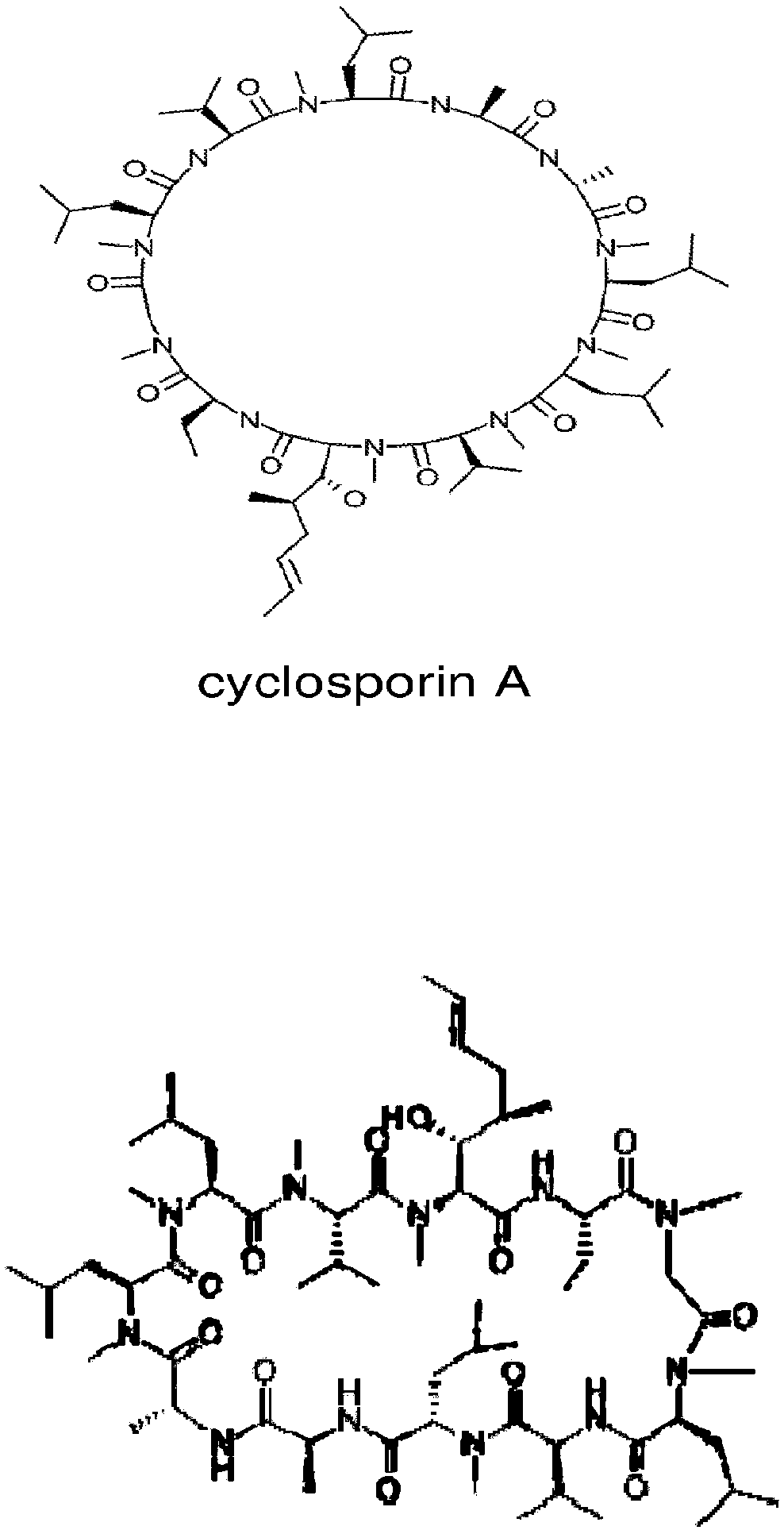 Separation and purification method of cyclosporin H