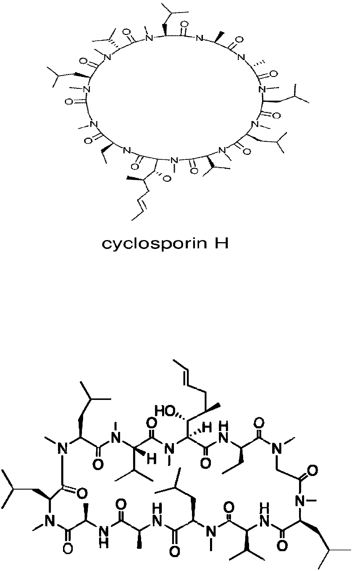 Separation and purification method of cyclosporin H