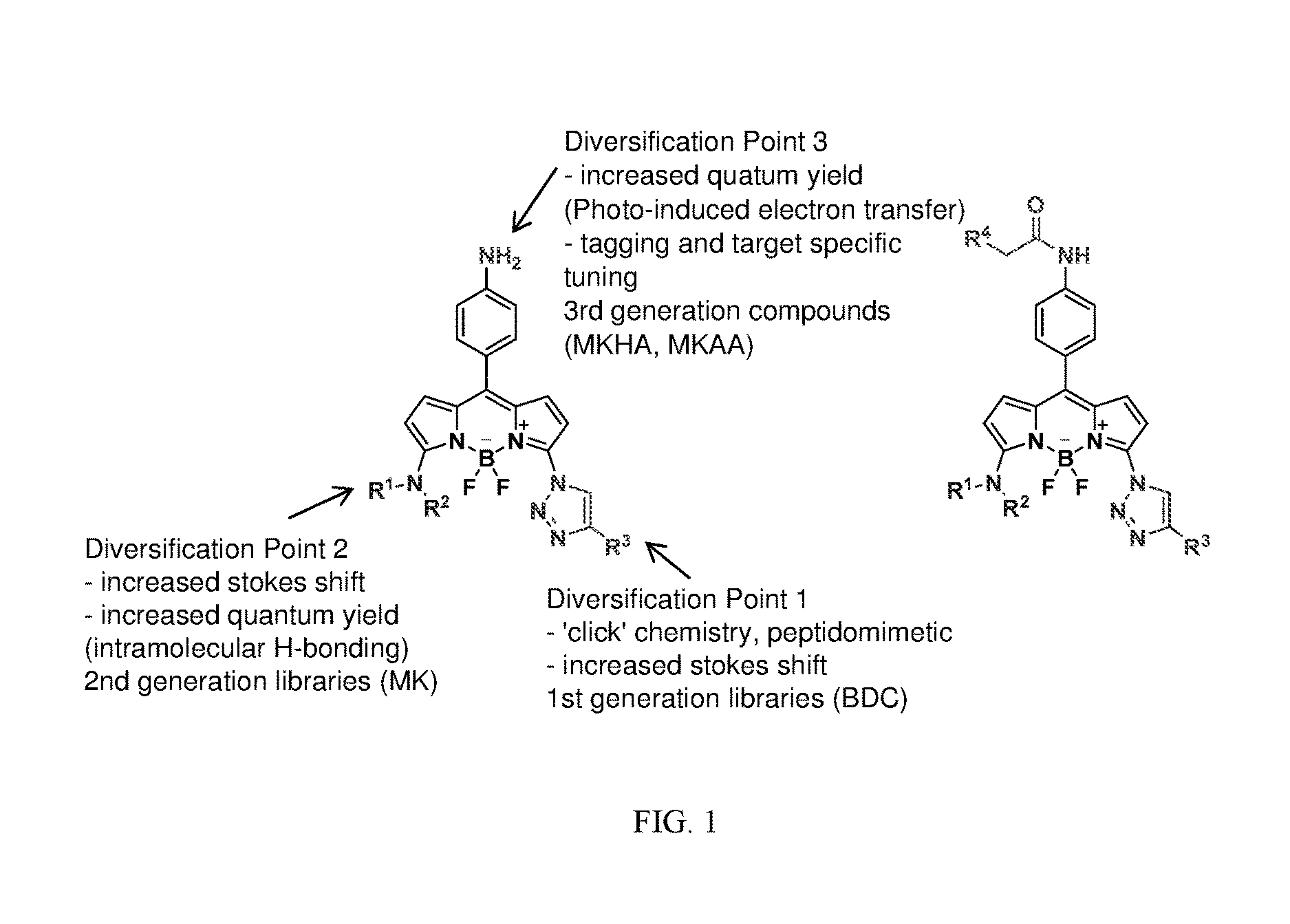 Megastokes amino-triazolyl-BODIPY compounds and applications to live neuron staining and human serum albumin FA1 drug site probing