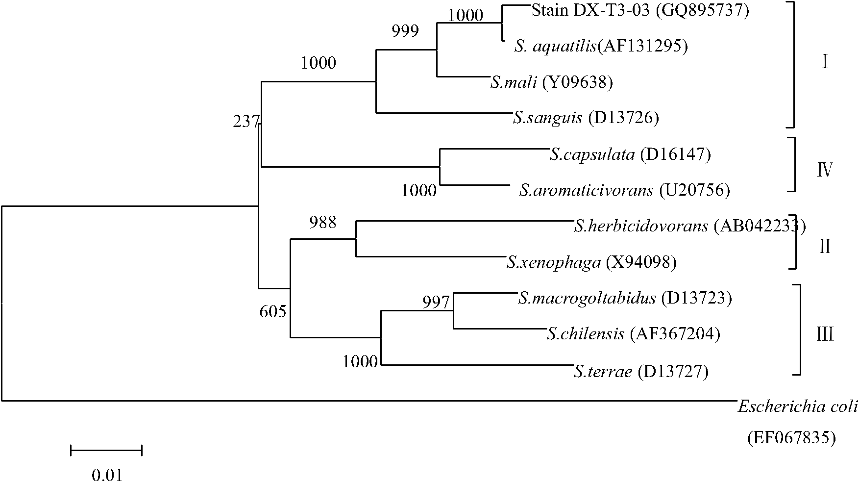 Sphingosine monad DX-T3-03 strain and extracting method thereof