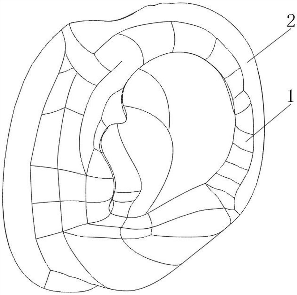 Composite artificial stent for total auricle reconstruction and preparation method of composite artificial stent