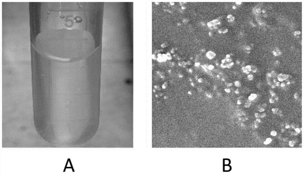 An anti-tumor drug-resistant nano-delivery system encapsulating two surfactants and preparation method thereof