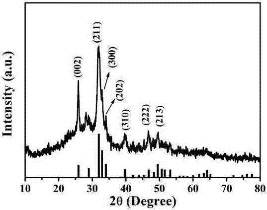 Preparation method of hydroxyapatite by using red blood cells as bioreactor